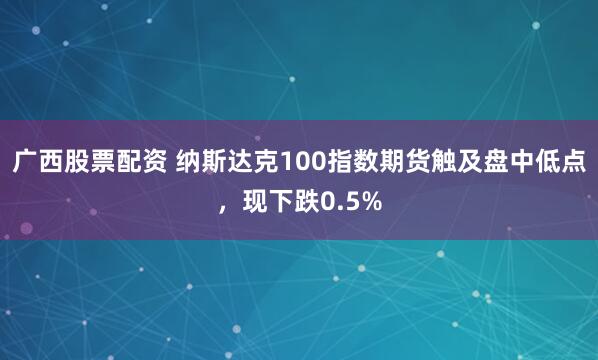 广西股票配资 纳斯达克100指数期货触及盘中低点，现下跌0.5%