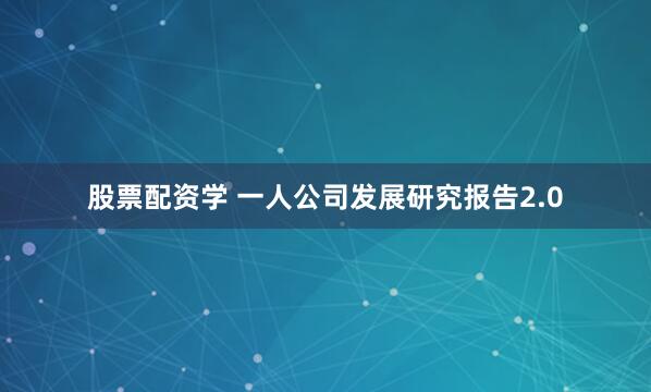 股票配资学 一人公司发展研究报告2.0