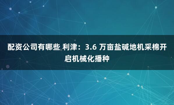 配资公司有哪些 利津：3.6 万亩盐碱地机采棉开启机械化播种