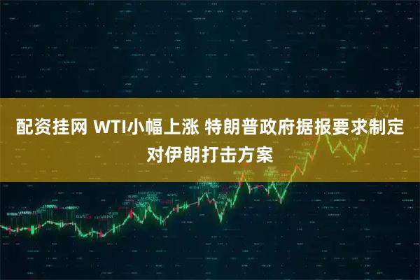 配资挂网 WTI小幅上涨 特朗普政府据报要求制定对伊朗打击方案